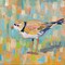 Coastal Plover IV Poster Print by Jeanette Vertentes - Item # VARPDX55182